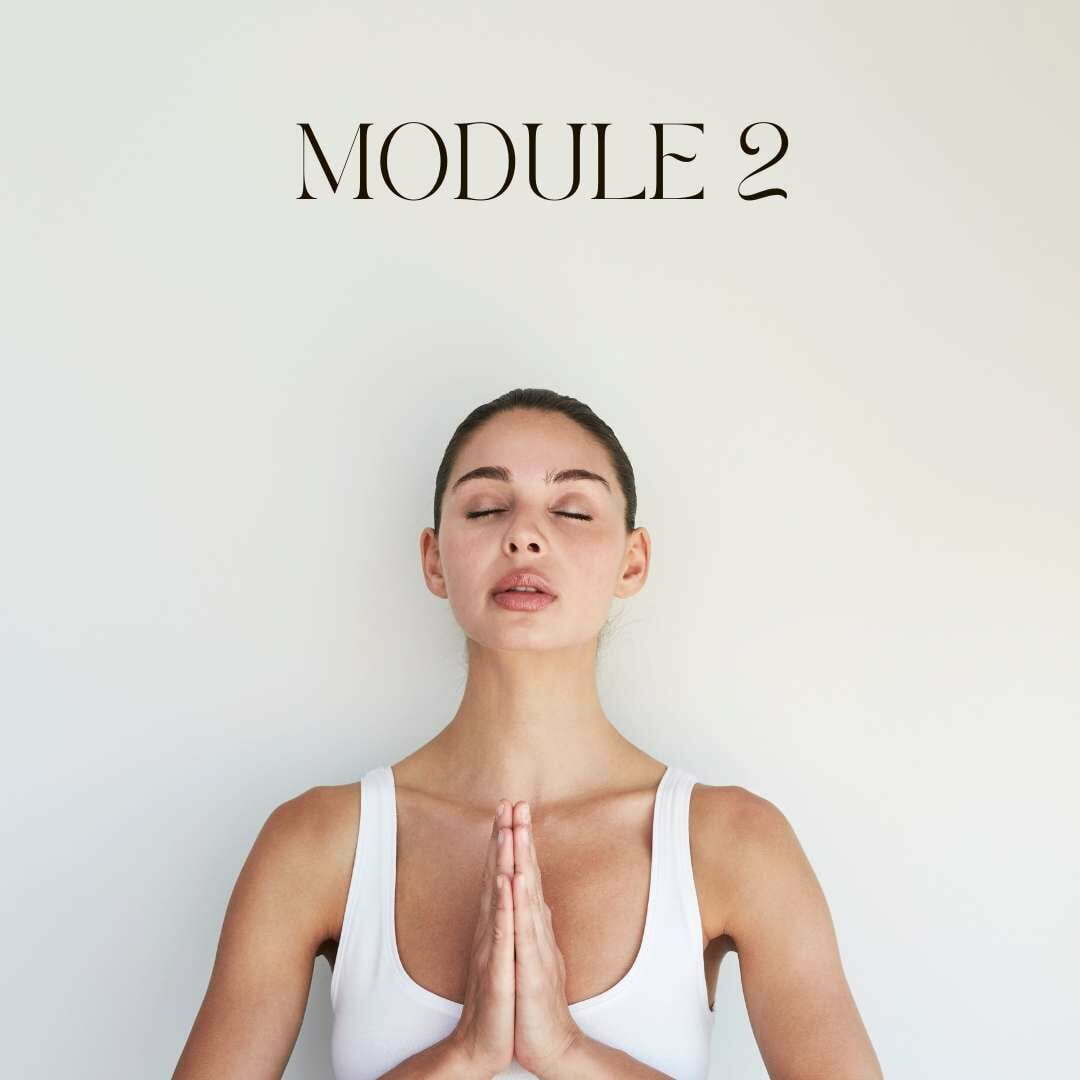 meditation teacher diploma course