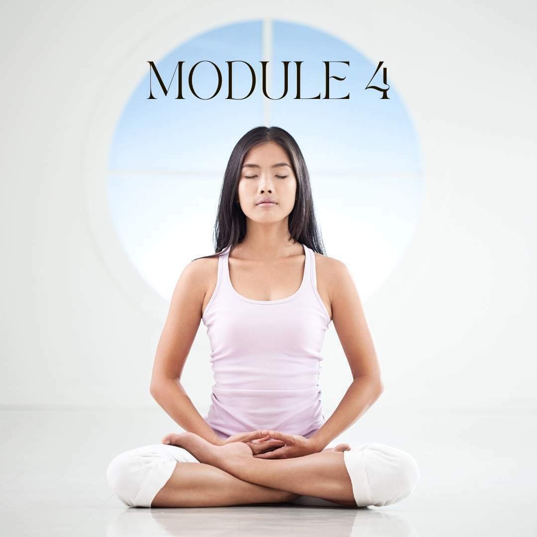 meditation teacher diploma course