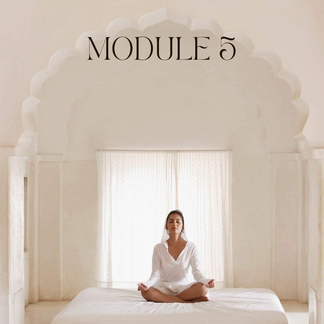 meditation teacher diploma course