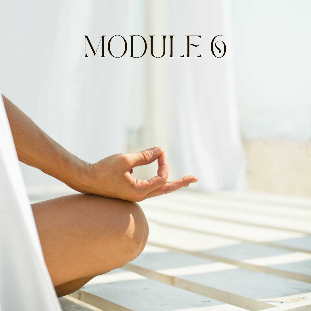 meditation teacher diploma course