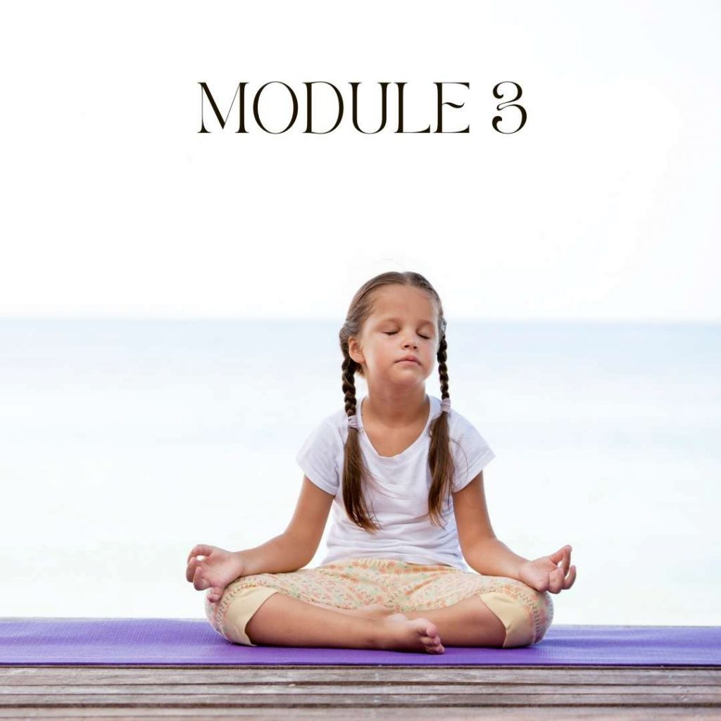 meditation teacher diploma course
