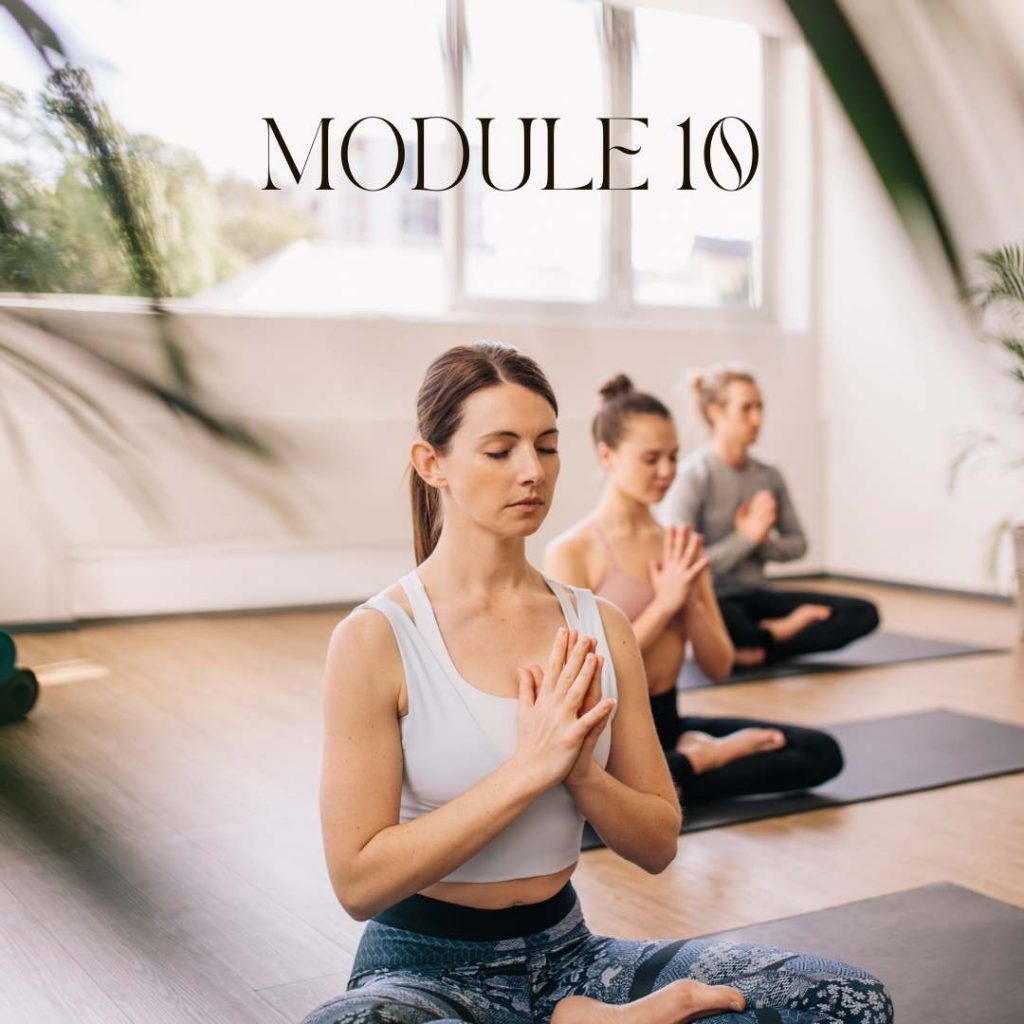 meditation teacher diploma course