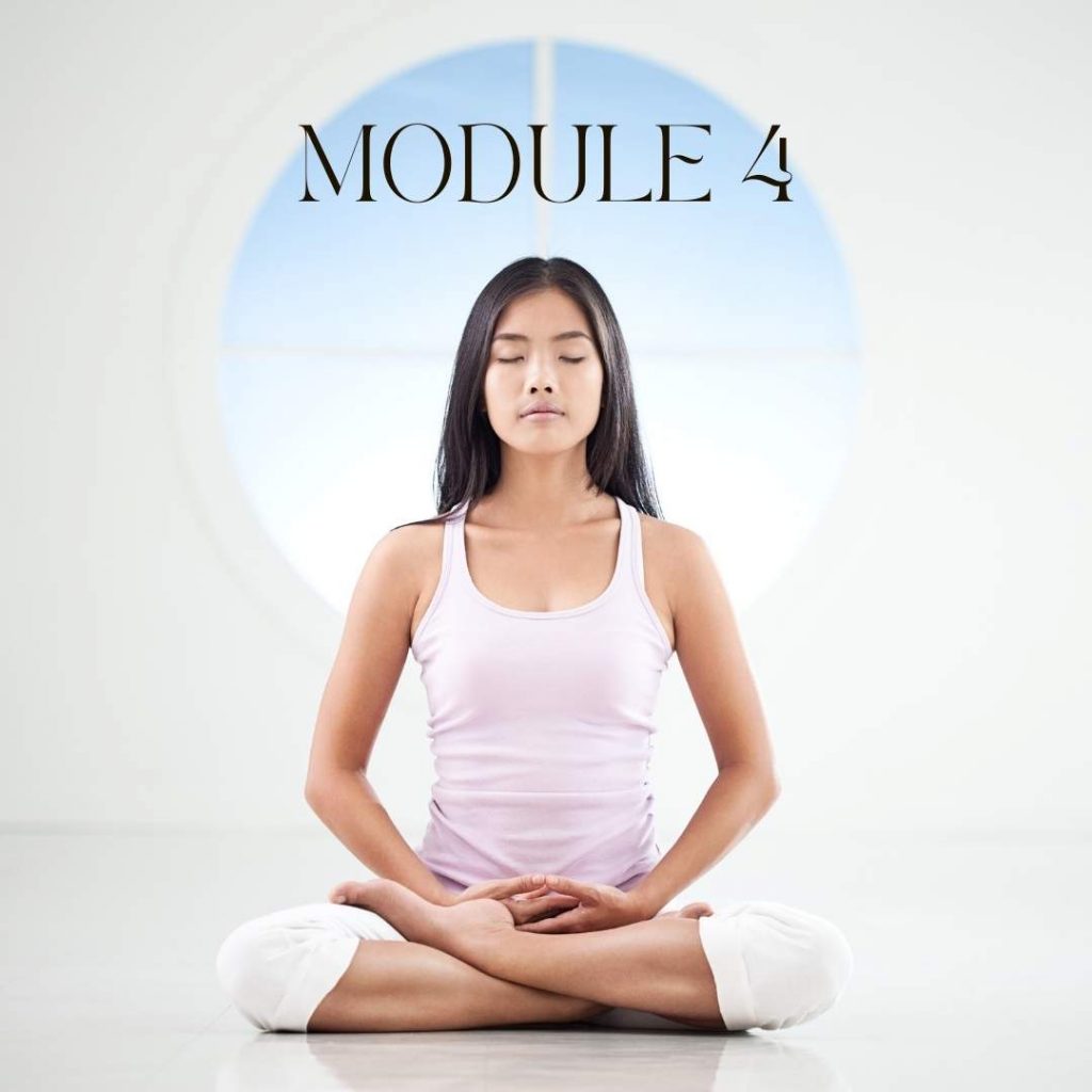 meditation teacher diploma course