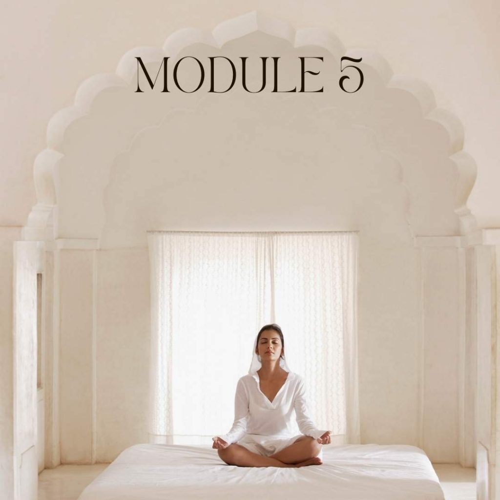 meditation teacher diploma course