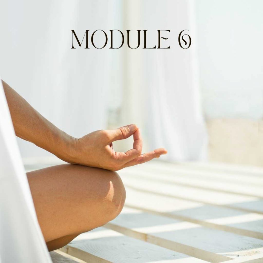 meditation teacher diploma course