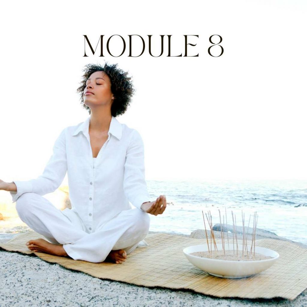 meditation teacher diploma course