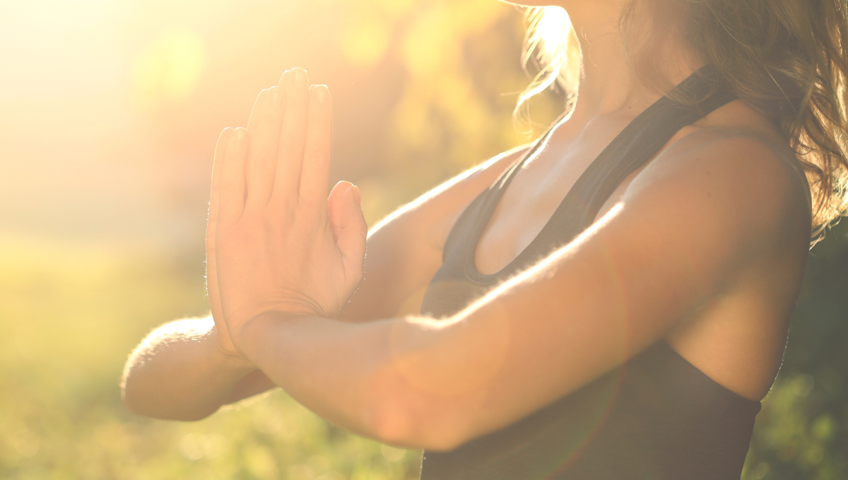 Mindfulness Coach Diploma