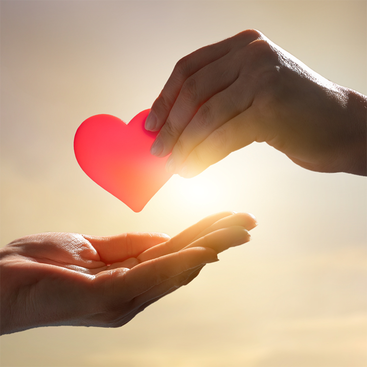 meditation teacher diploma course