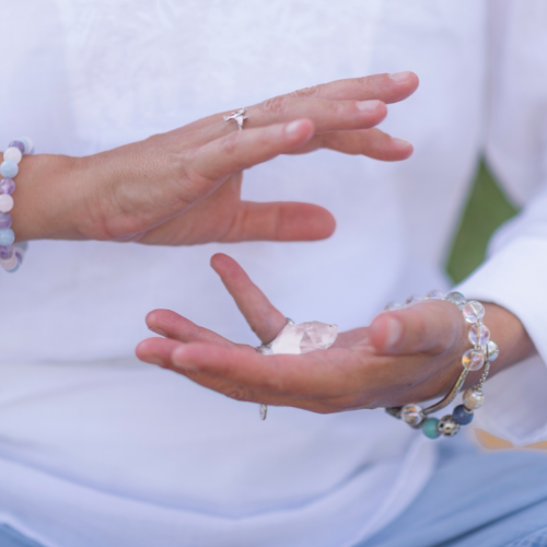 meditation teacher diploma course